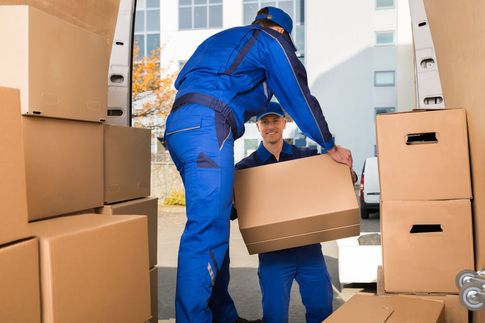 Santa Clara Movers Packing Boxes